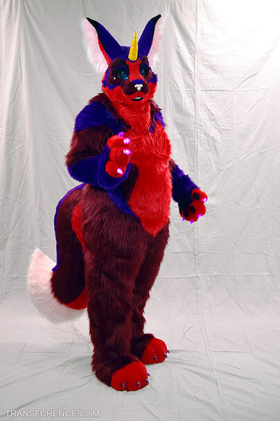 Halle Purry the unicorn cat