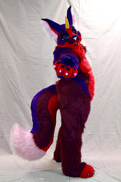 Halle Purry the unicorn cat