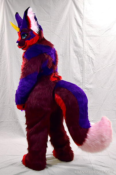 Halle Purry the unicorn cat